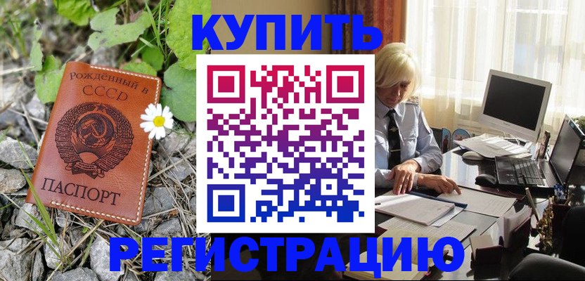 временная регистрация поиск в Светогорске